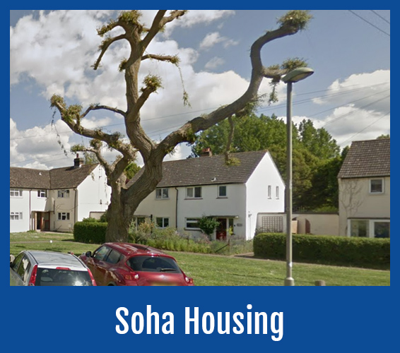 Land owned and maintained by soha housing